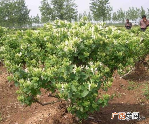 不愁销路的小型加工厂 养值创业