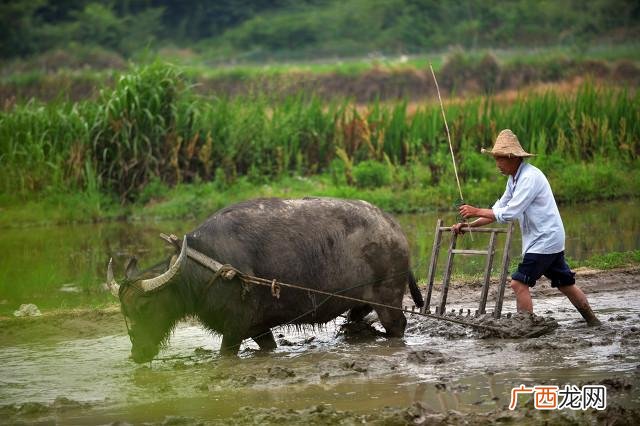 小县城创业项目 农村投资什么项目好k