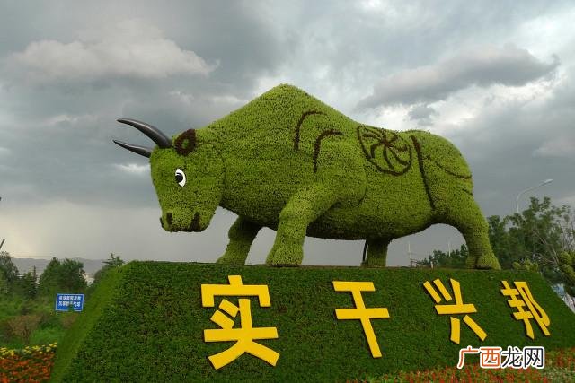 小县城创业项目 农村投资什么项目好k