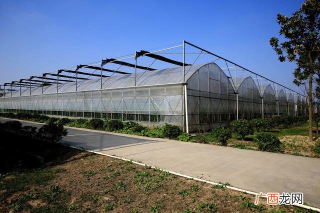 小县城创业项目 农村投资什么项目好k