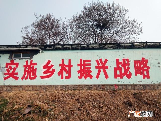 小县城创业项目 农村投资什么项目好k