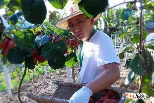 小县城创业项目 农村投资什么项目好k