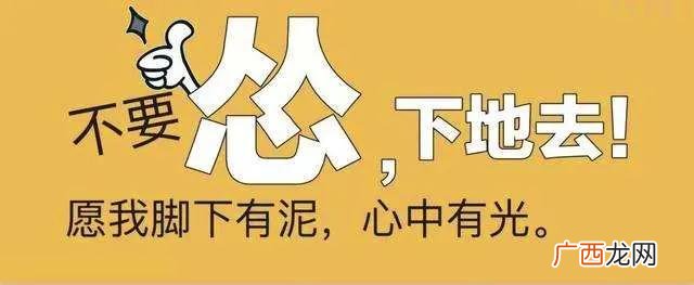 农资市场调研计划表 农资店创业计划书doc