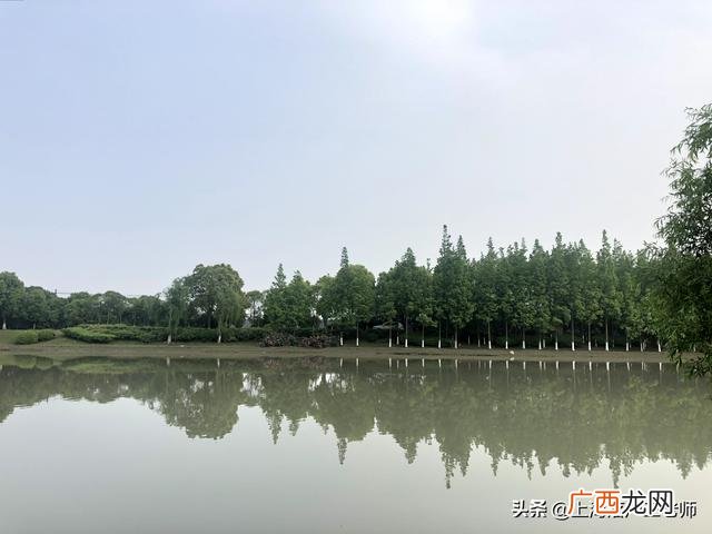 上海落户新政策2021,上海创业补贴政策2021