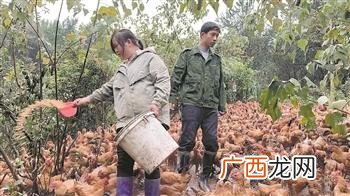 创业小故事案例500字 创业者的小故事