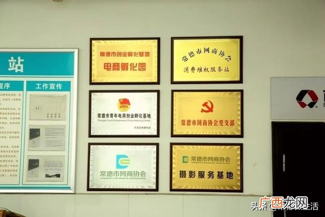 孵化楼是什么意思,创业乳化园