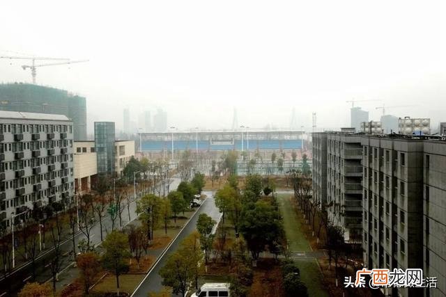 孵化楼是什么意思,创业乳化园