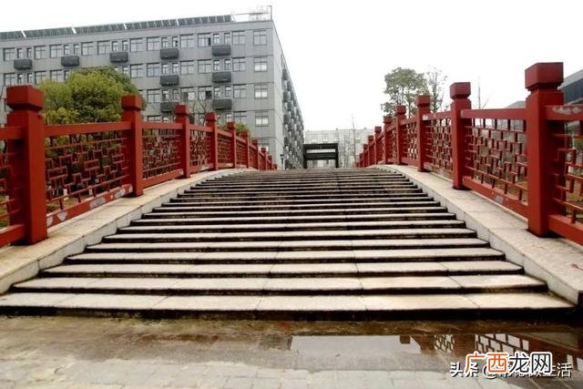 孵化楼是什么意思,创业乳化园