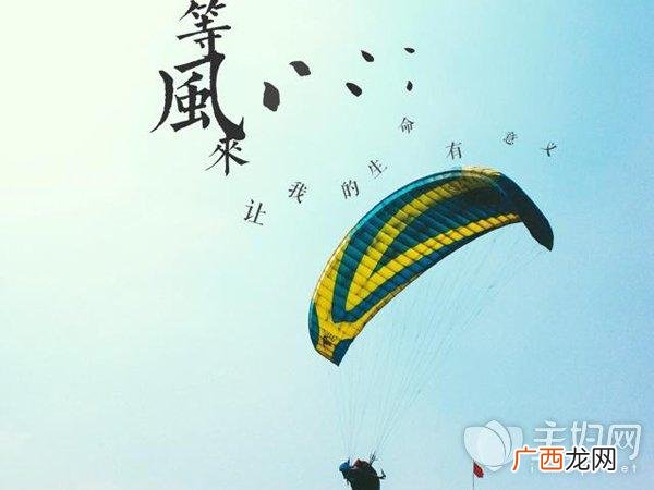 创业机会的特征是什么,不同创业模式的企业的特点