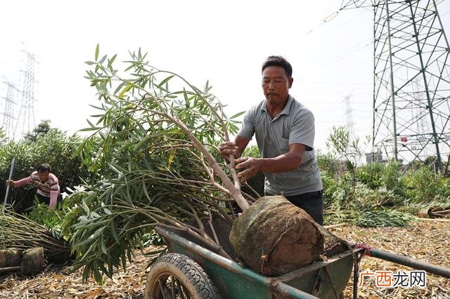 中山横栏镇范围 中山石岐手工活外发