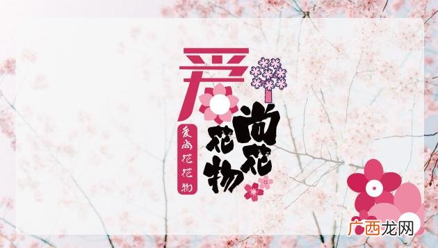 二师兄脆皮鸡饭加盟 爱尚脆皮鸡米饭加盟