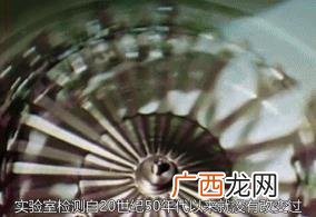 影视世界当首富 影视世界的创业者