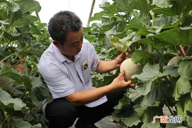 人人联盟抖音点赞靠谱吗 人人盟是真是假
