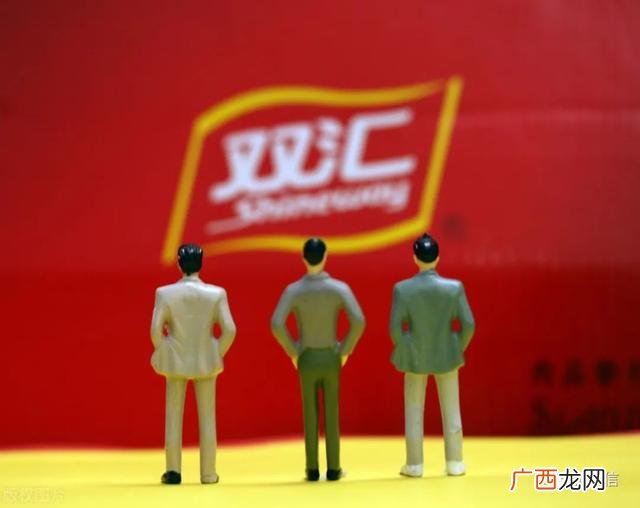 微淼毕业论文双汇发展 双汇老总创业经历