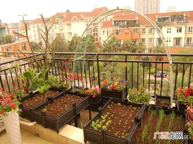 农家菜园图片效果图 菜园子图