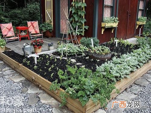农家菜园图片效果图 菜园子图
