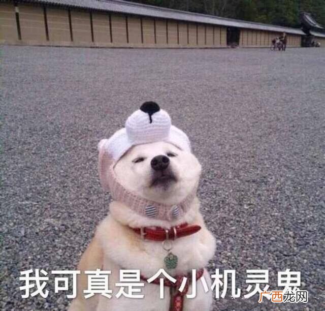 微信群好听的名称大全,创业微信群名称大全霸气