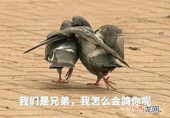微信群好听的名称大全,创业微信群名称大全霸气