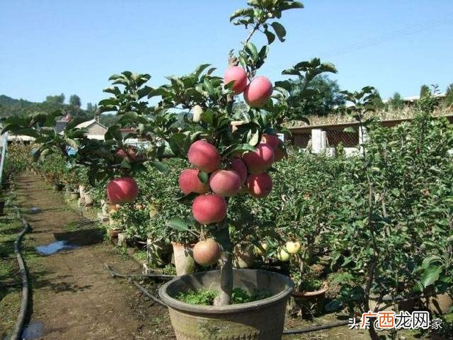 2021年可以干的行业 2021年农村加工厂