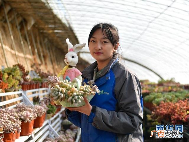 建个多肉植物大棚怎么样 多肉大棚创业