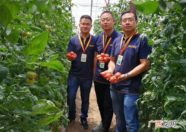 低学历的名人的故事 学历低创业成功的名人