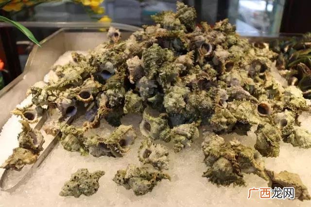 10大快速回本暴利行业 梅州创业项目