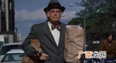 加菲猫大电影免费 加菲猫2