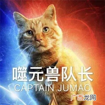 加菲猫大电影免费 加菲猫2