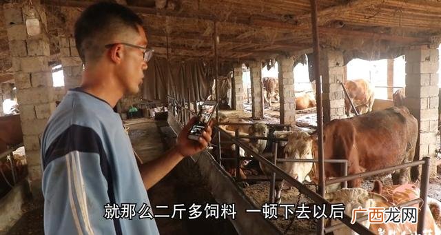 怎么学做自媒体,自媒体怎么赚钱