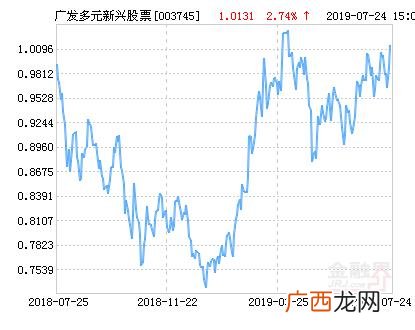 广发多元新兴股票基金净值,创业板开放基金净值