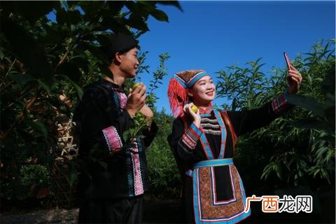 互联网案例 个人互联网创业案例
