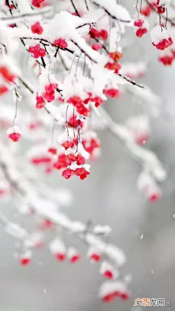 冬至祝福短信 冬至群祝福语