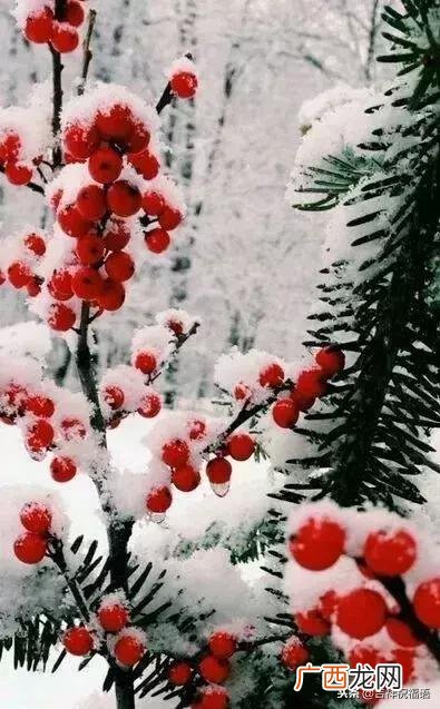 冬至祝福短信 冬至群祝福语