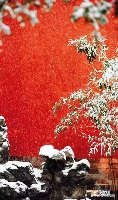 冬至祝福短信 冬至群祝福语