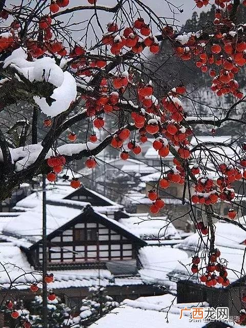 冬至祝福短信 冬至群祝福语