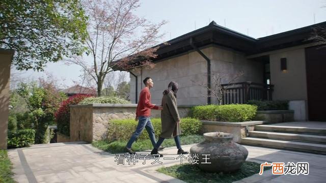 创业时代安迪是谁演的 创业时代女律师