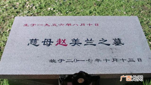 创业时代安迪是谁演的 创业时代女律师
