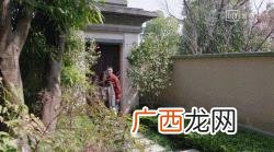 创业时代安迪是谁演的 创业时代女律师