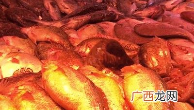 山东最大粮食批发市场 青岛批发小零食