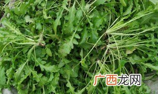 荠菜有什么功效和作用 荠菜对人有哪些功效和作用