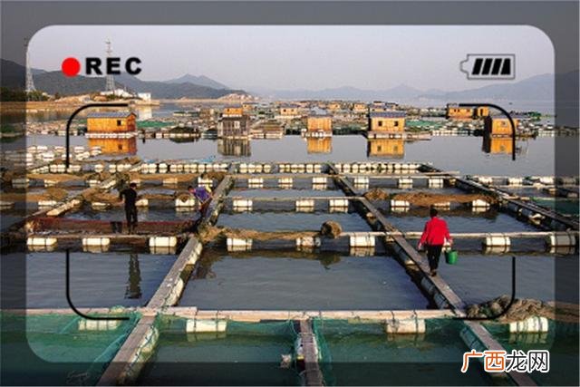 农村的致富之路有什么,创业致富的好门路
