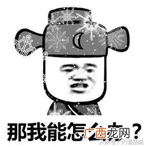 做生意的男人性格特点 嫁给创业的男人好不好