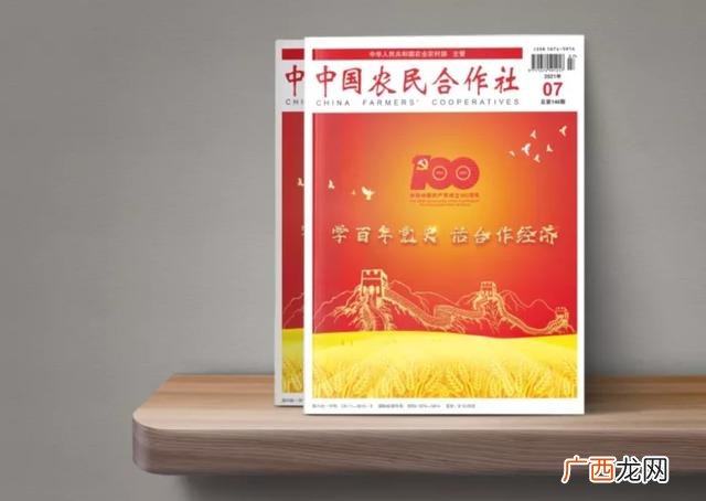 创业概括 合作社创业经历怎么写
