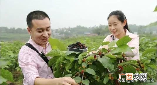 不起眼的暴利小生意 想做生意怎么联系进货渠道
