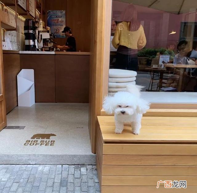 咖啡店企业愿景范文简短 选择咖啡创业项目的理由