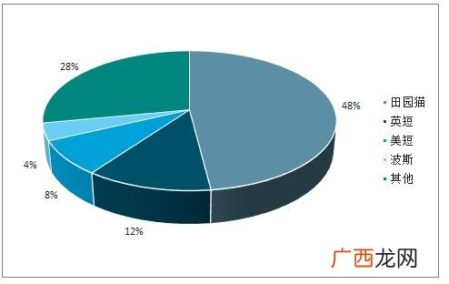 关于宠物创业计划书 线上宠物店创业计划书电子化服务