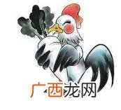 1969年11月26日生日命运 11月26日出生