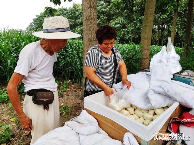 在农村创业如何致富,农村创业商机致富