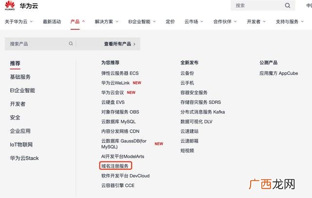 免费永久个人域名注册,个人网站注册平台