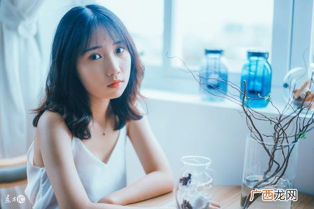 关于动物的侦探社 创业开宠物侦探社